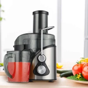 1891fbd76b942a767929e279f7ed1f2c.webp Business Electric Fruit Juicer Extractor