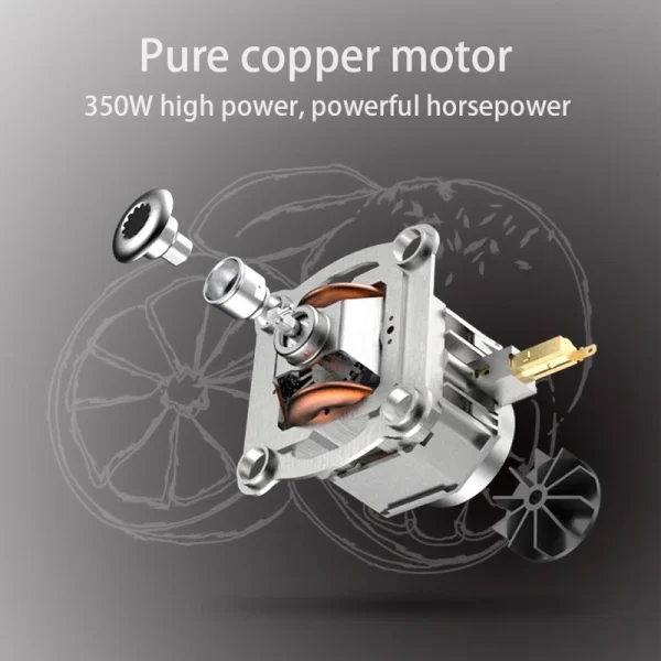 Electric Fruit Juicer Extractor